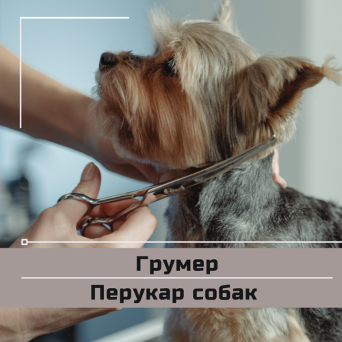 Грумер